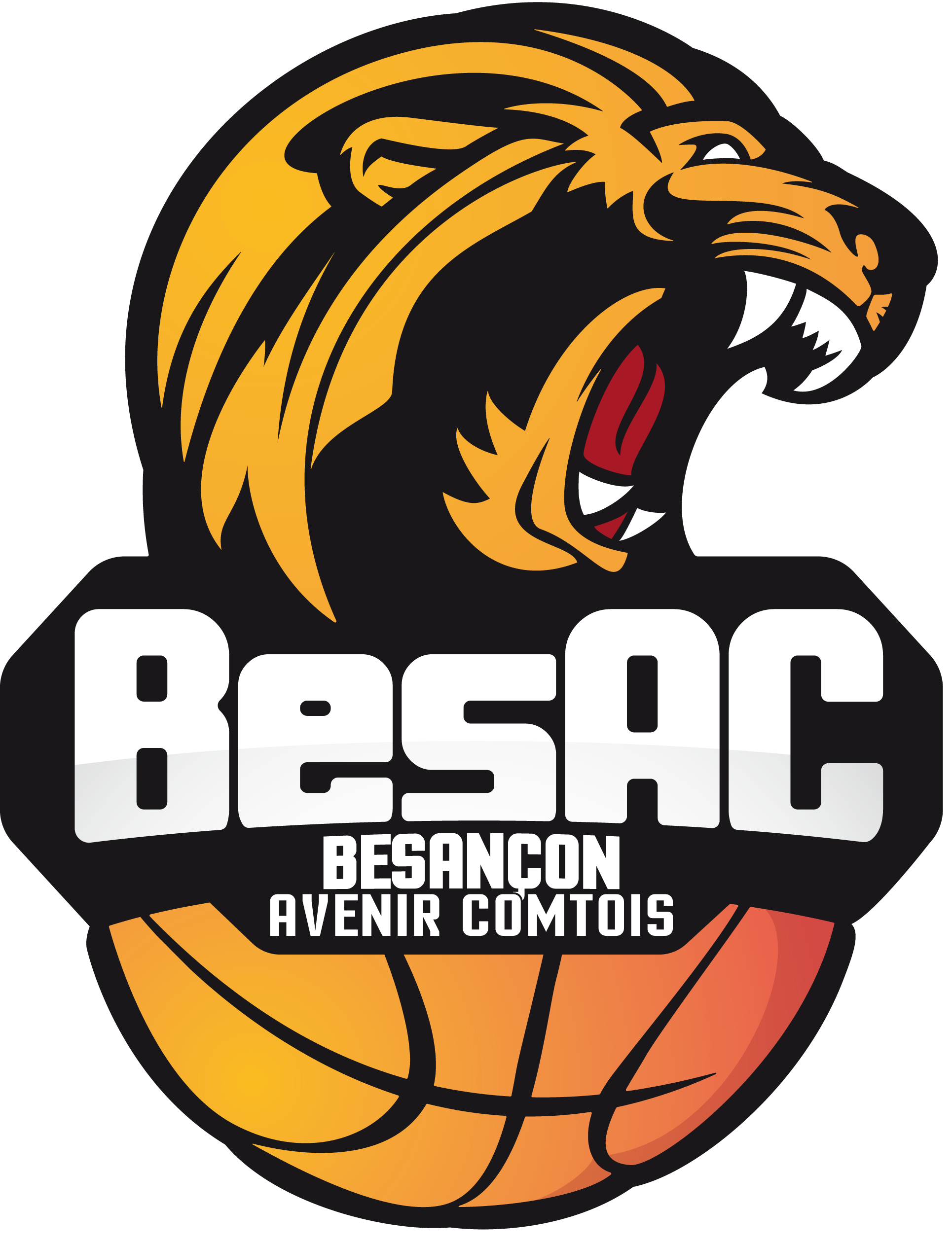 BesAC Basket